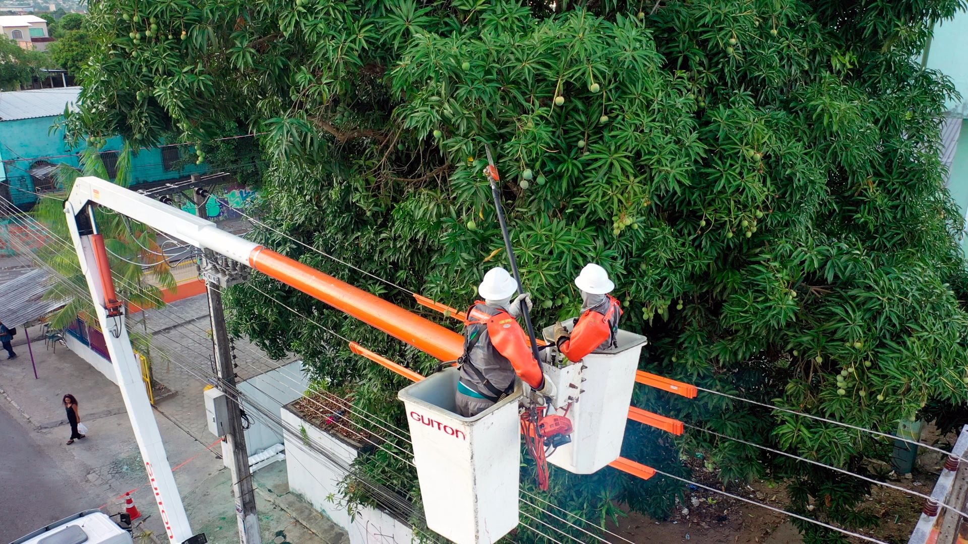 Poda de Vegetação em Rede Elétrica e Limpeza de Faixa
